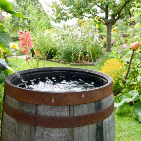 8 Steps for Water Collection and Rainwater Harvesting