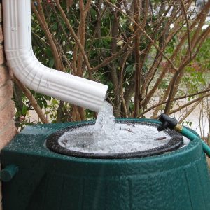 8 Steps for Water Collection and Rainwater Harvesting