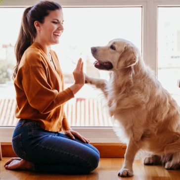 6 Tips for Prepping with Pets Ensuring their Safety