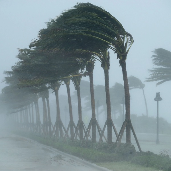 </p><p>As the hurricane's arrival draws near, swift and decisive actions are essential to your safety. Here's what you need to do in the days leading up to the storm:</p><p><strong>1. Secure Outdoor Items</strong></p><p>The potential for strong winds turning everyday objects into dangerous projectiles is a real concern. Take the following precautions:</p><ul><li>Bring inside or securely fasten any items in your yard that could become projectiles in strong winds. Lawn furniture, garden tools, and loose debris should all be safely stowed away.</li></ul><p><strong>2. Fortify Your Home</strong></p><p>Your home is your last line of defense. Ensure its resilience by taking these vital steps:</p><ul><li>Close and board up all windows and doors with ⅝
